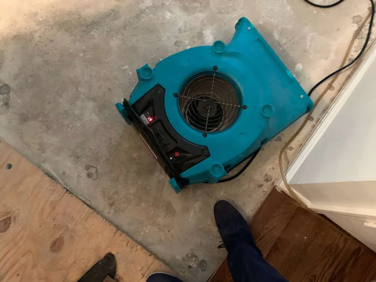 Air mover drying subfloor during Leak Detection & Repair in Hermitage